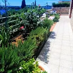 Anamaria *