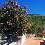 Διαμέρισμα Anamaria