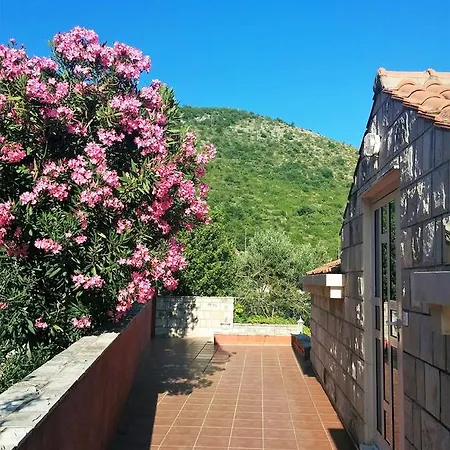 Anamaria