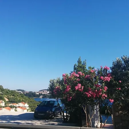 Anamaria Ντουμπρόβνικ