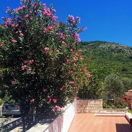 Apartamento Anamaria